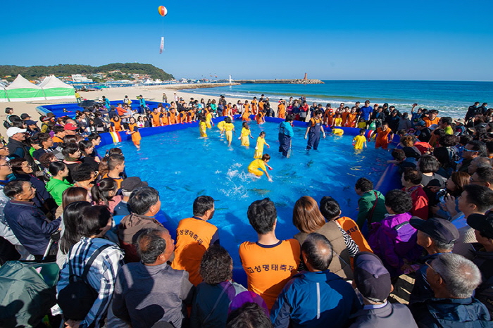 고성통일명태축제