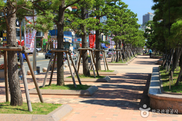 광안리해변 테마거리