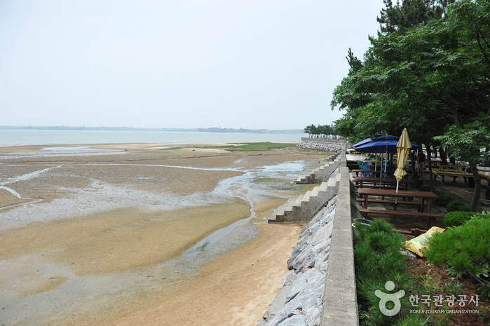 톱머리 해수욕장