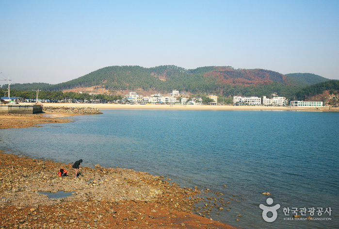 연포해수욕장