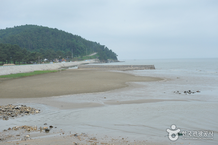 백바위해수욕장