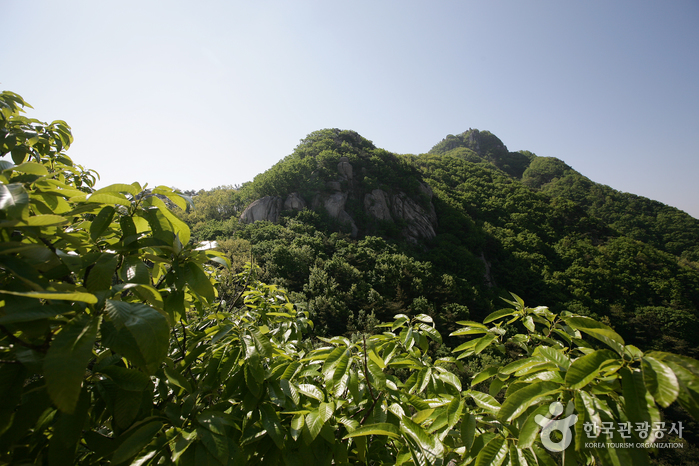 팔봉산(서산)