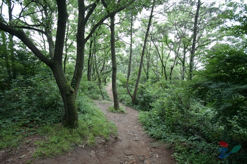 백화산