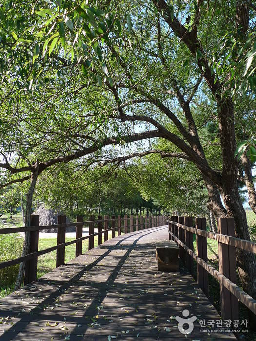 오산리선사유적박물관