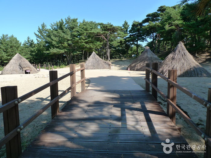 오산리선사유적박물관