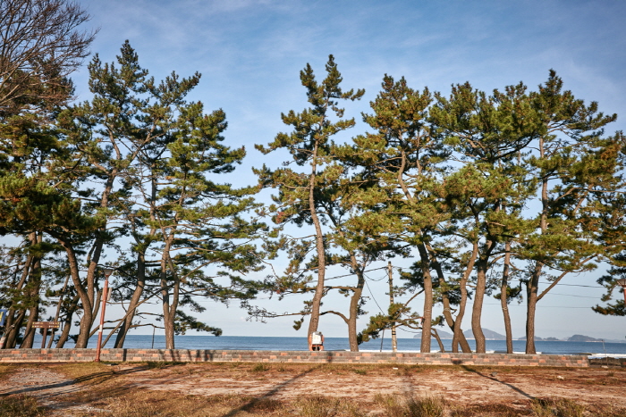 변산해수욕장