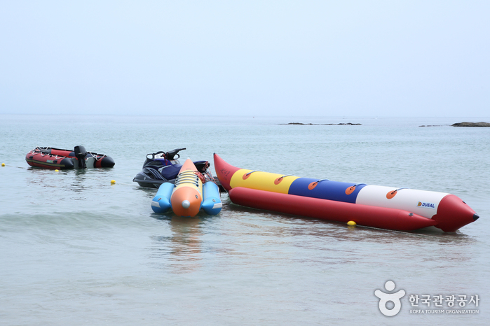 오징어맨손잡기체험 및 구룡포 해변축제