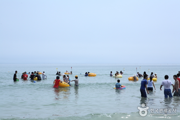 오징어맨손잡기체험 및 구룡포 해변축제