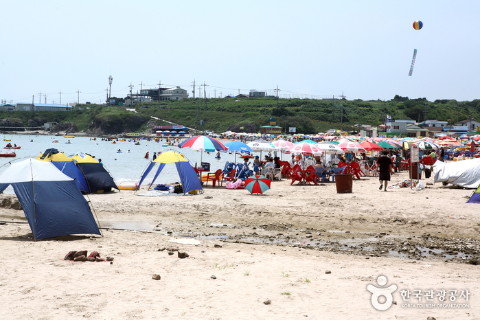 오징어맨손잡기체험 및 구룡포 해변축제