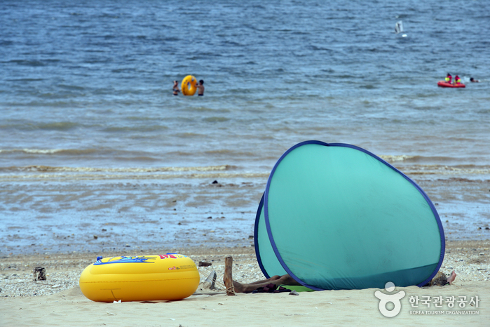 보령 해수욕장 관광특구
