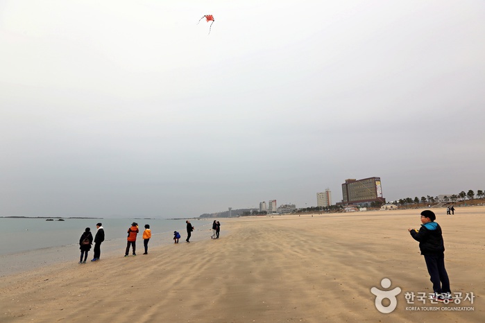 보령 해수욕장 관광특구