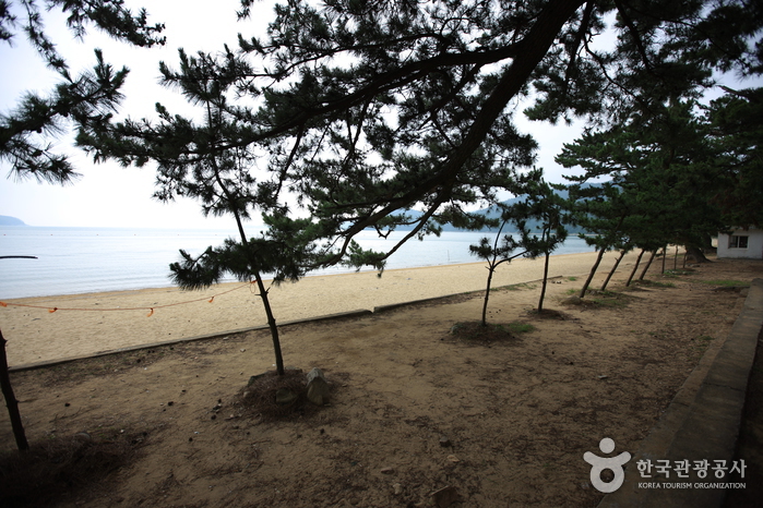 나로우주해수욕장