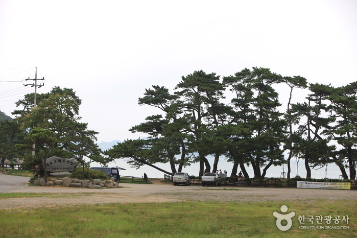 나로우주해수욕장