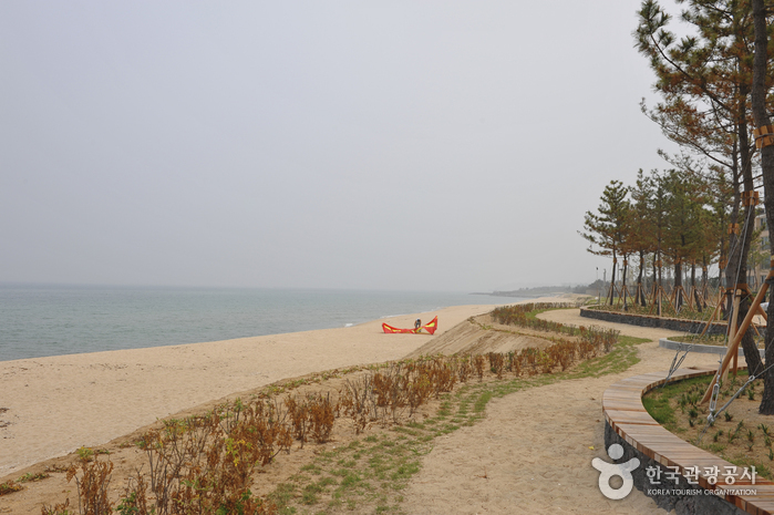 남항진해변(남항진해수욕장)