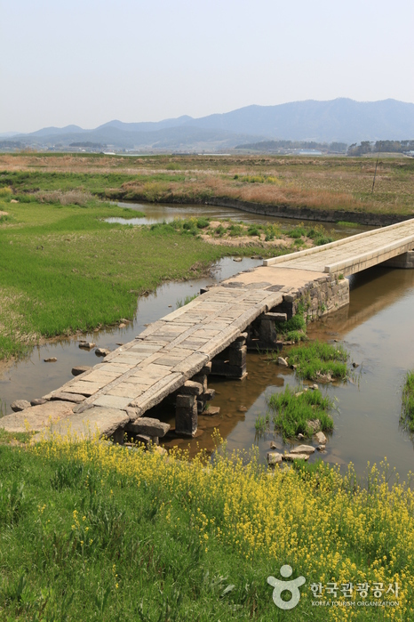 함평 고막천 석교