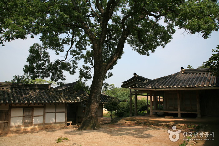해남윤씨 녹우당 일원