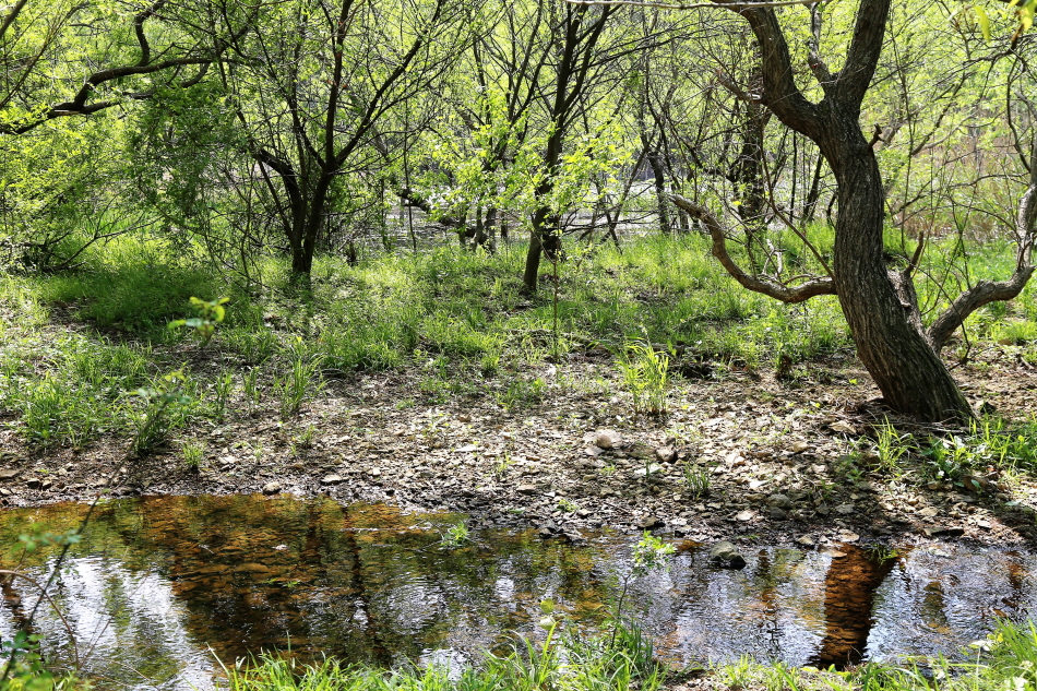 운곡습지 및 고인돌군 (전북 서해안권 국가지질공원)