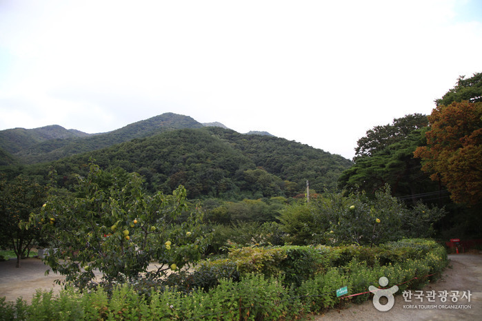 내연산 군립공원