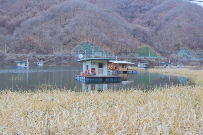 원평리낚시터