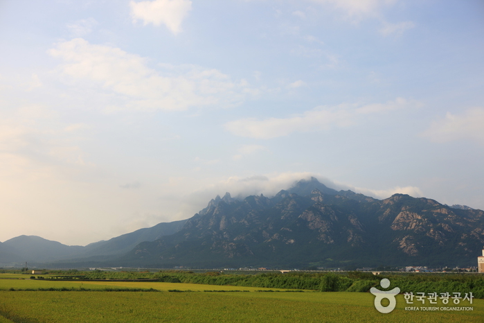 월출산과 백련사에서 바라다 보이는 한결같은 정경