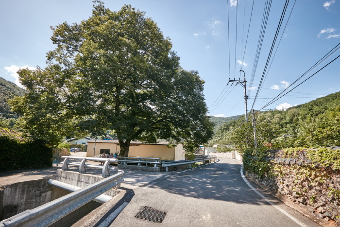 사천 바리안마을