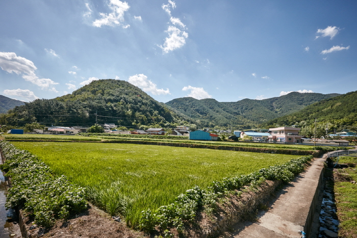 사천 바리안마을