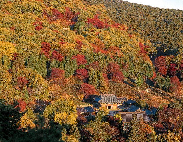 다솔사(경남)