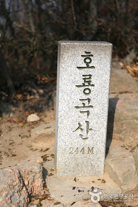 호룡곡산