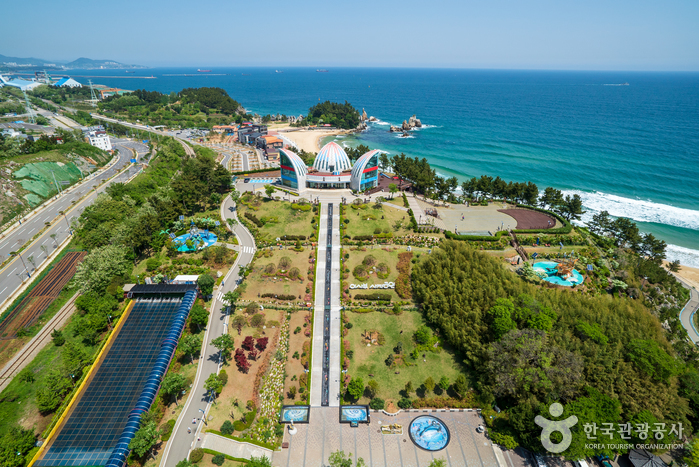 이사부자사공원&그림책 나라