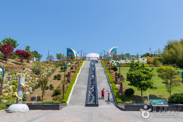 이사부자사공원&그림책 나라