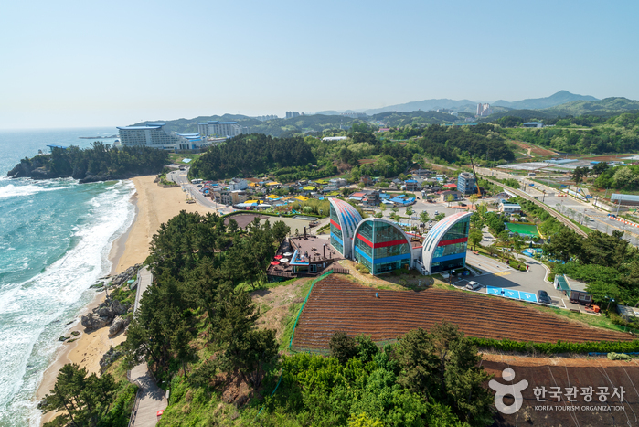 이사부자사공원&그림책 나라