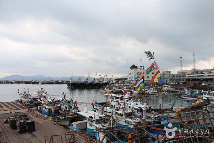 삼천포용궁수산시장