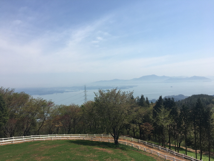 상상양떼목장 편백숲