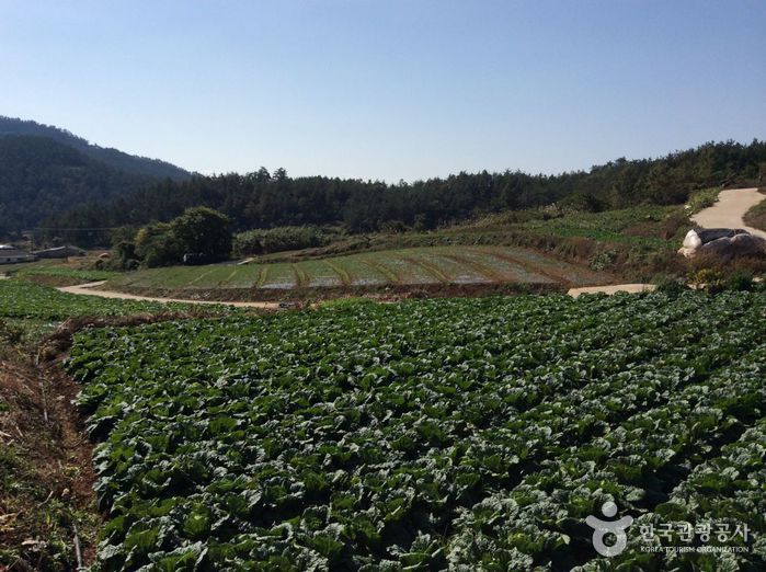 대죽마을