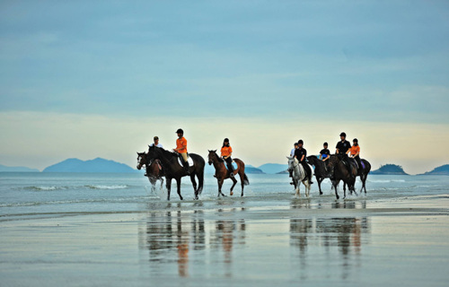 임자해변승마공원
