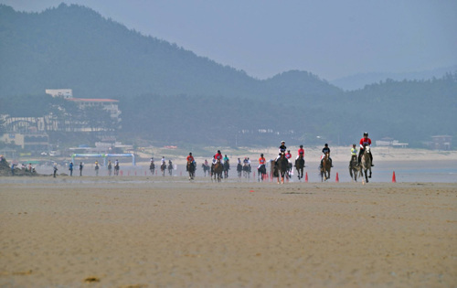 임자해변승마공원