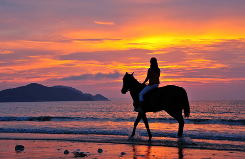 임자해변승마공원