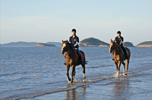 임자해변승마공원