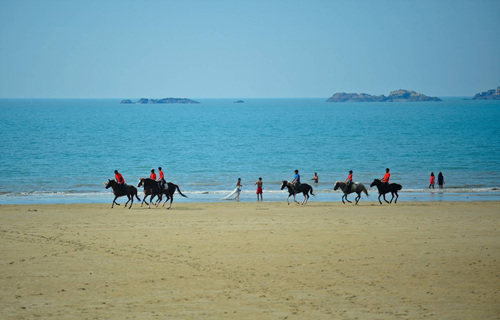 임자해변승마공원