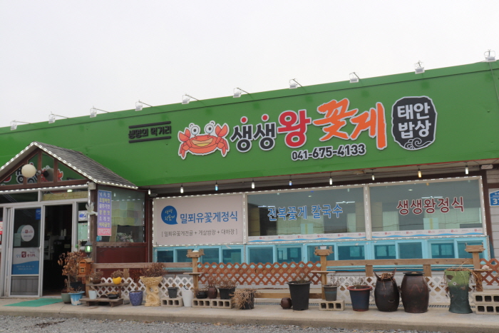 생생왕꽃게