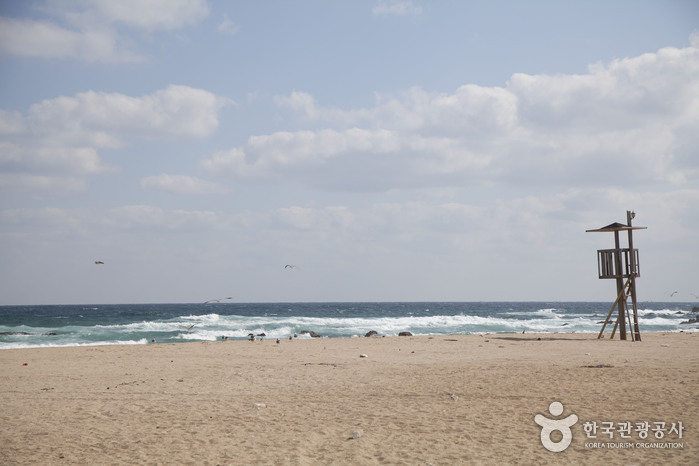 대진해수욕장(918번 해안도로)