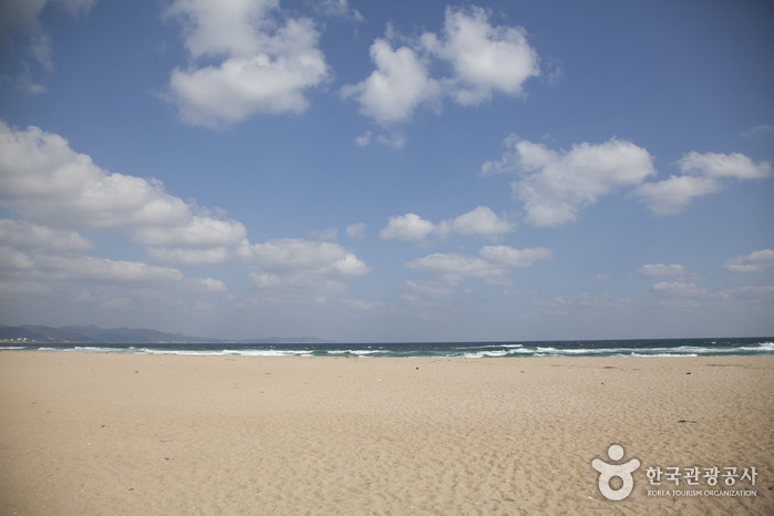 대진해수욕장(918번 해안도로)