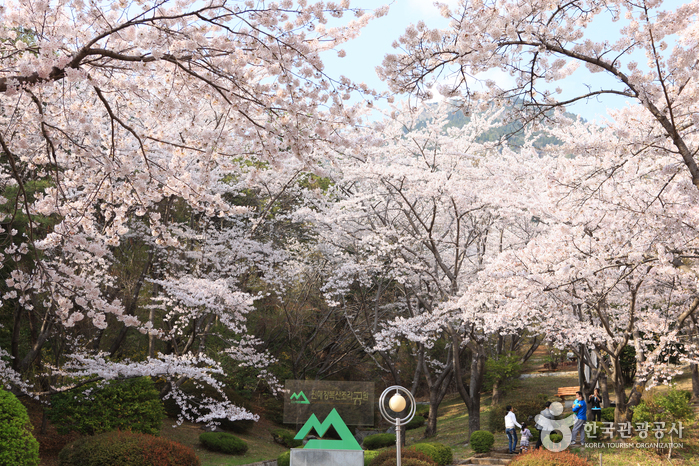 장복산조각공원