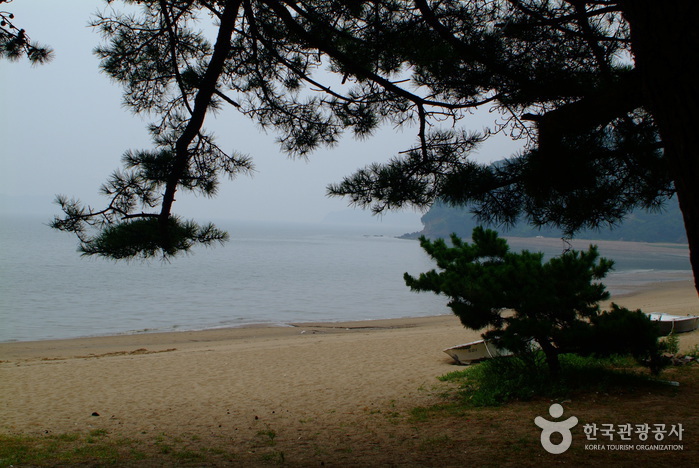 장봉도 한들해수욕장