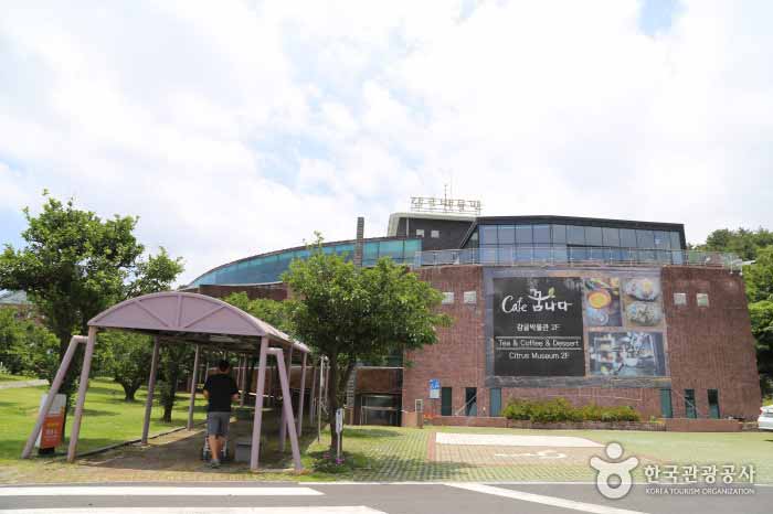 감귤박물관