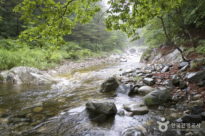 덕구계곡 (경북 동해안 국가지질공원)