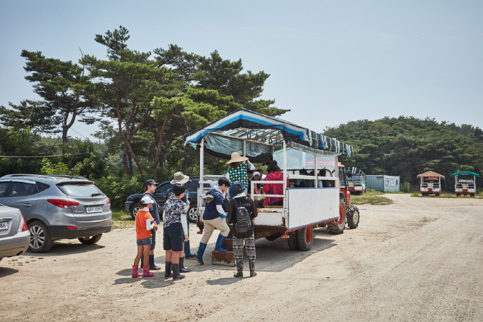선감어촌체험마을
