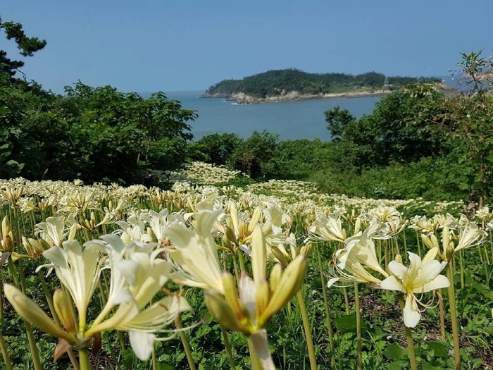 거륜도