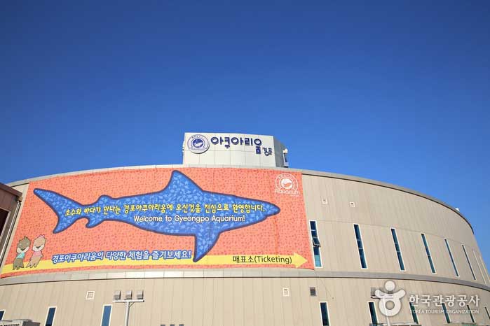 경포아쿠아리움
