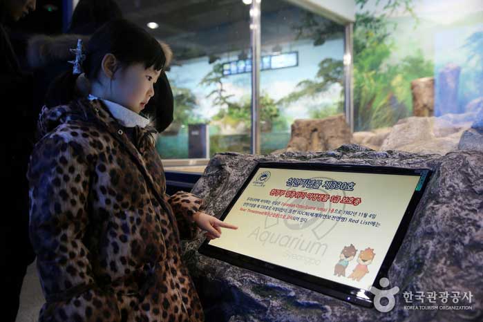 경포아쿠아리움